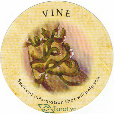 168. Vine - Tea Leaf Fortune Cards