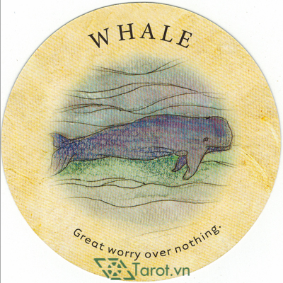 174. Whale - Tea Leaf Fortune Cards