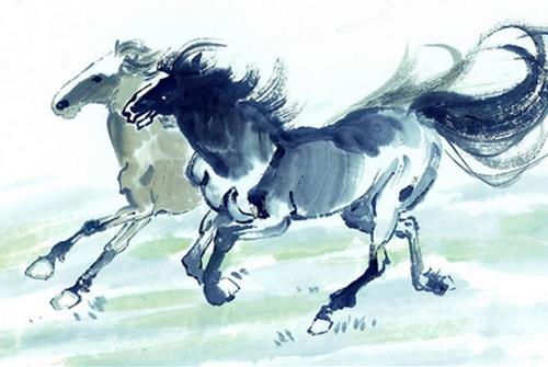 4 con giap xui xeo tuan nay (24 – 30/11)