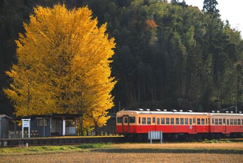 Tử vi tháng 12/2025 của Sư Tử Tu vi thang 12/2025 cua Su Tu