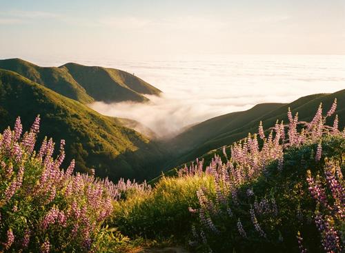 Tu vi tuan moi cua Ma Ket