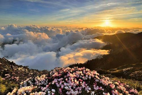 Tu vi tuan moi cua Su Tu