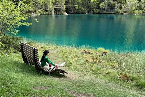 Tu vi tuan moi cua 12 cung hoang dao