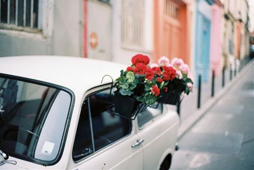 Tử vi tuần mới của Nhân Mã Tu vi tuan moi cua Nhan Ma