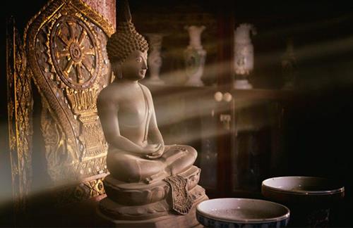 cam on nhung nguoi da lam ban dau kho