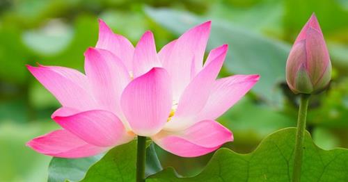 Thoi gian chin muoi cua nghiep bao