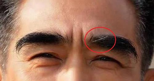 Dau long may moc soi dai