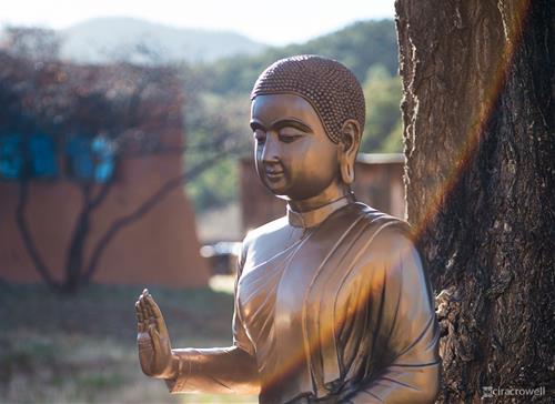 Cam bay bao hieu ban dang tra nghiep