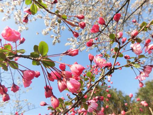 Tử vi tháng 2/2026 của Ma Kết Tu vi thang 2/2026 cua Ma Ket