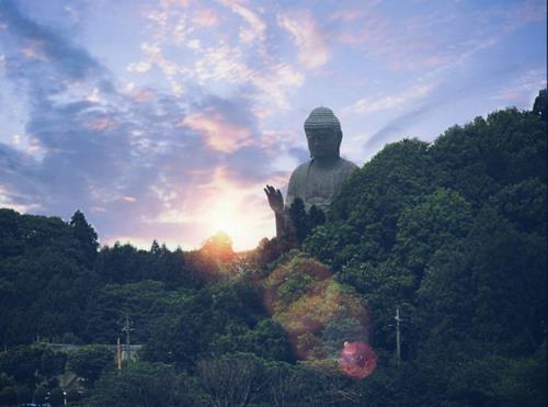 cau noi nen doc vao nam 2026