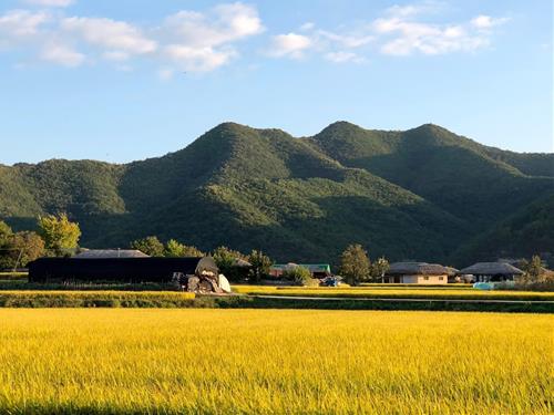 Tu vi tuan moi cua 12 cung hoang dao