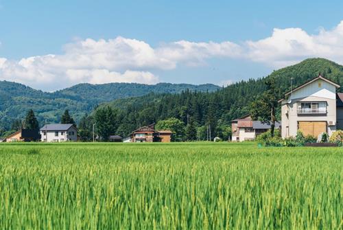 Tu vi tuan moi cua Su Tu