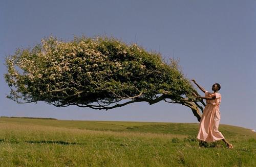 Tử vi tuần mới của Sư Tử Tu vi tuan moi cua Su Tu