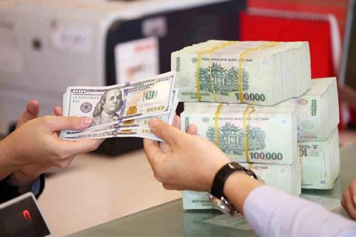 con giap duoc gia tien phu tro giua tuan nay