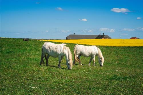 Tu vi tuan moi cua 12 cung hoang dao (23 – 29/3)