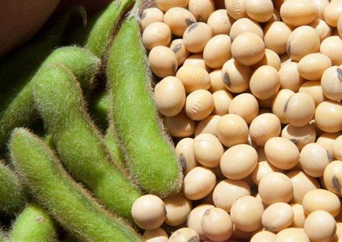 Mon an tot lanh don loc vao nha