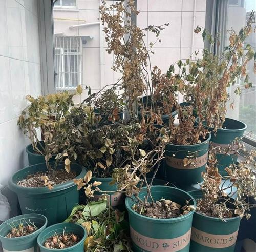 3 diem xui truoc cua nha