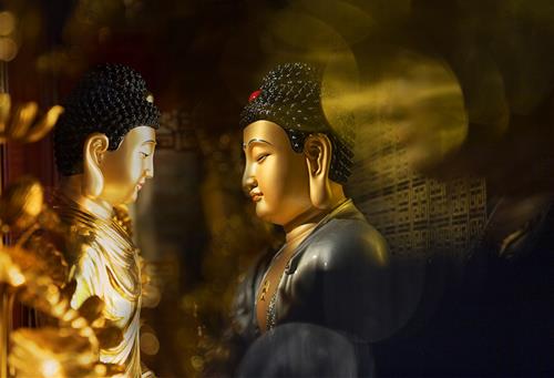 Chung sinh deu co Phat tinh