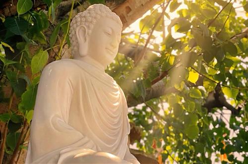 Dau hieu cua nghiep chuong