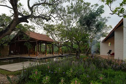 Diem xau keo van khi gia dinh di xuong