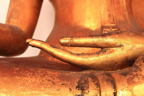 dau hieu cua gia dinh duoc bo tat che cho