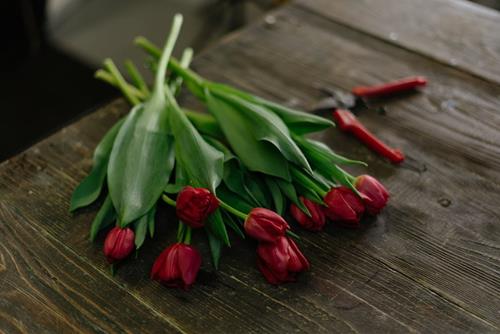 tu vi tuan moi cua 12 cung hoang dao