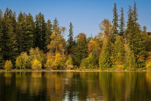 tuan moi cua cu giai tuan moi cua cu giai