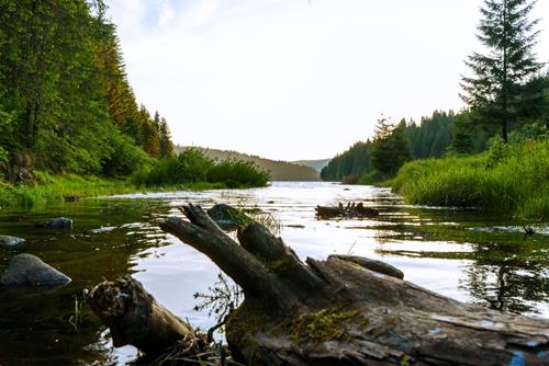 tuan moi cua ma ket tuan moi cua ma ket