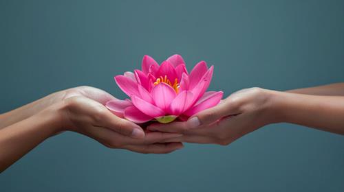 dau hieu duoc troi cuu