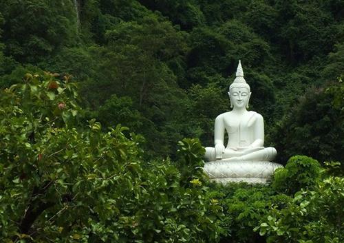 2 thu khong nen tham lam