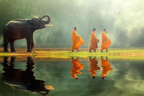 9 bai hoc cuoc doi dat gia tu kinh kim cuong