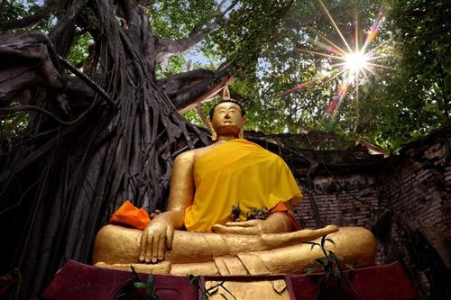 loi day hay nhat cua Duc Phat