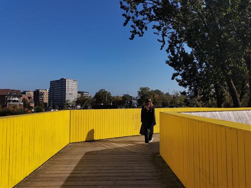 Tử vi tuần mới của 12 cung hoàng đạo từ 6 – 12/7/2026 Tu vi tuan moi cua 12 cung hoang dao tu 6 – 12/7/2026