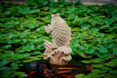 Biểu tượng cá trong phong thủy Bieu tuong ca trong phong thuy