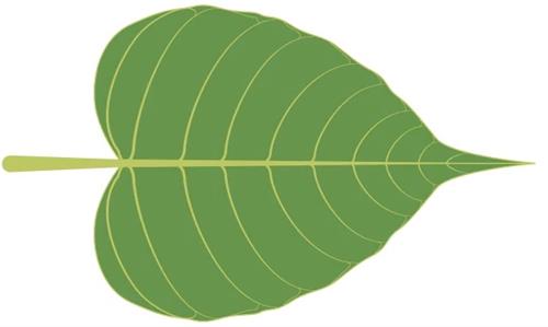 Bieu tuong la bo de
