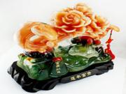 Hoa mẫu đơn mang tình yêu đến
