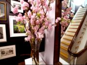 Bí quyết cắm hoa đào ngày Tết theo phong thủy